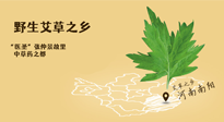 艾草越嫩越好，還是越久越好？悄悄告訴你：艾草這樣用，效果最好！