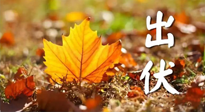 【三伏養(yǎng)生】出伏后做好養(yǎng)生很關(guān)鍵！一行要注意！