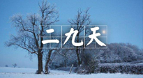 【三九養(yǎng)生】冬二九，扶陽補腎氣，讓你陽氣充足一整年！