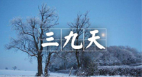 【三九養(yǎng)生】冬三九，三九第三灸，一年中最后艾灸黃金9天！