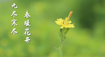 【九九養(yǎng)生】三月四日“九九日”，寒冬已過。春天養(yǎng)好身，全年不怕??！