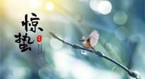 【二十四節(jié)氣灸】驚蟄節(jié)氣，艾灸喚醒抵抗力、補(bǔ)充陽氣的最好時(shí)機(jī)！