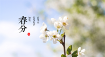 【二十四節(jié)氣灸】春分，平分了大地晝夜；艾灸，平衡了身體陰陽！