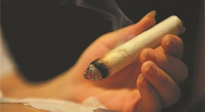 【艾灸知識】春暖花開，衣衫漸薄，再不減肥，身上的肉肉可藏不住了！