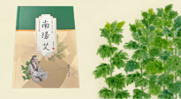 【行業(yè)資訊】國內(nèi)首部艾草專著《南陽艾》，在南陽新書首發(fā)！