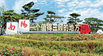 【行業(yè)資訊】南陽一個值得三顧的地方！“丹江水”“仙草艾”成為 “南陽禮物”新爆款！
