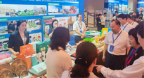【行業(yè)資訊】南陽攜超千款名優(yōu)產(chǎn)品在廣州開展產(chǎn)銷對接，仙草艾首次亮相大灣區(qū)！