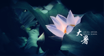 【二十四節(jié)氣灸】趁大暑好好艾灸，才不辜負(fù)三伏天的驕陽(yáng)！