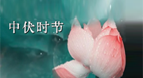 【艾灸三伏天】中伏：三伏灸的關(guān)鍵轉(zhuǎn)折點(diǎn)！“灸”除病根的大好時(shí)機(jī)！