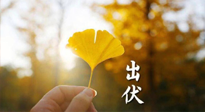 【艾灸三伏天】出伏啦！三防三宜兩穴位，防止身體“秋后算賬”！