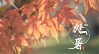 【二十四節(jié)氣灸】處暑，冬病夏治倒計時！秋涼真的要來了！