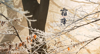 【二十四節(jié)氣灸】霜降節(jié)氣：艾灸四穴，護(hù)您冬天安然無恙！