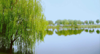 【艾灸知識(shí)】春三月，必艾灸穴位：疏肝理氣，養(yǎng)血調(diào)神！
