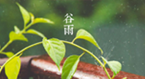 【二十四節(jié)氣灸】谷雨節(jié)氣脾土濕，艾灸降濕濁，脾旺不受邪！