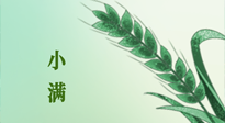 【二十四節(jié)氣灸】小滿節(jié)氣記得艾灸，悠悠長夏，健康度過！