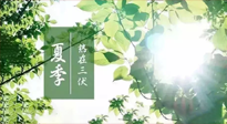 【艾灸三伏天】今年三伏不一般，仙草小助理建議大家早作準備哦！