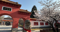 【行業(yè)資訊】新華財經(jīng)：守正創(chuàng)新，中醫(yī)藥品牌化發(fā)展“更上一層樓”！