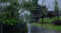 【艾灸知識】多雨的日子里，艾灸會不會加重濕氣呢？