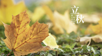 【節(jié)氣養(yǎng)生】甲辰立秋，“2做”、“2不做”，護(hù)好我們身體的正氣，預(yù)防外邪的侵襲！