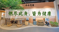 【艾草知識(shí)】小小艾草，渾身是寶，一生燃盡此身，皆為健康！
